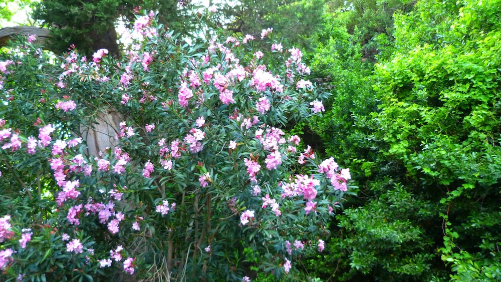 Simge Pansiyon - Image 32