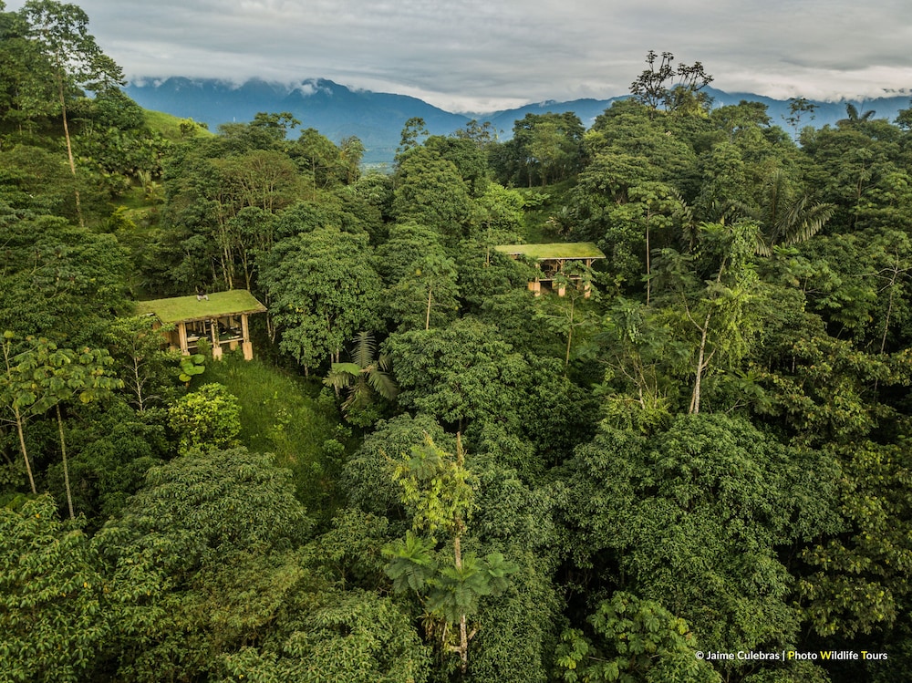 Jardin de los Suenos