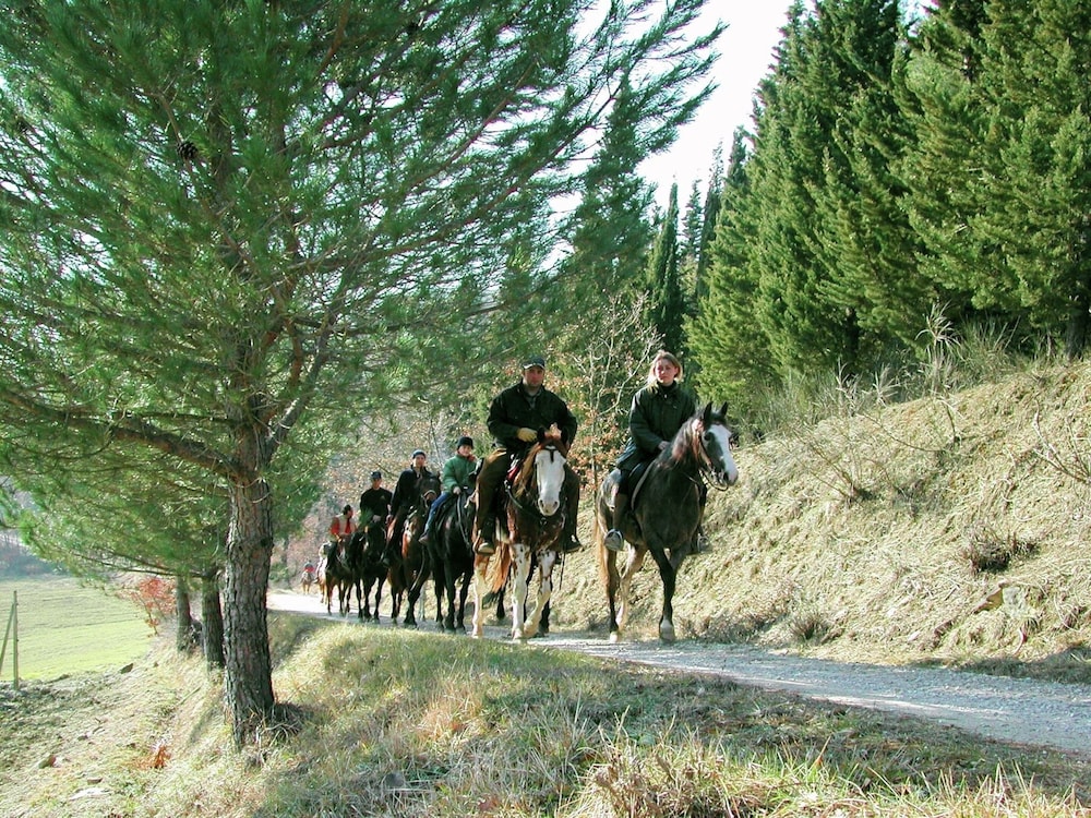 Farmhouse With Stables, Horses and the Ability to Make Horseback Riding