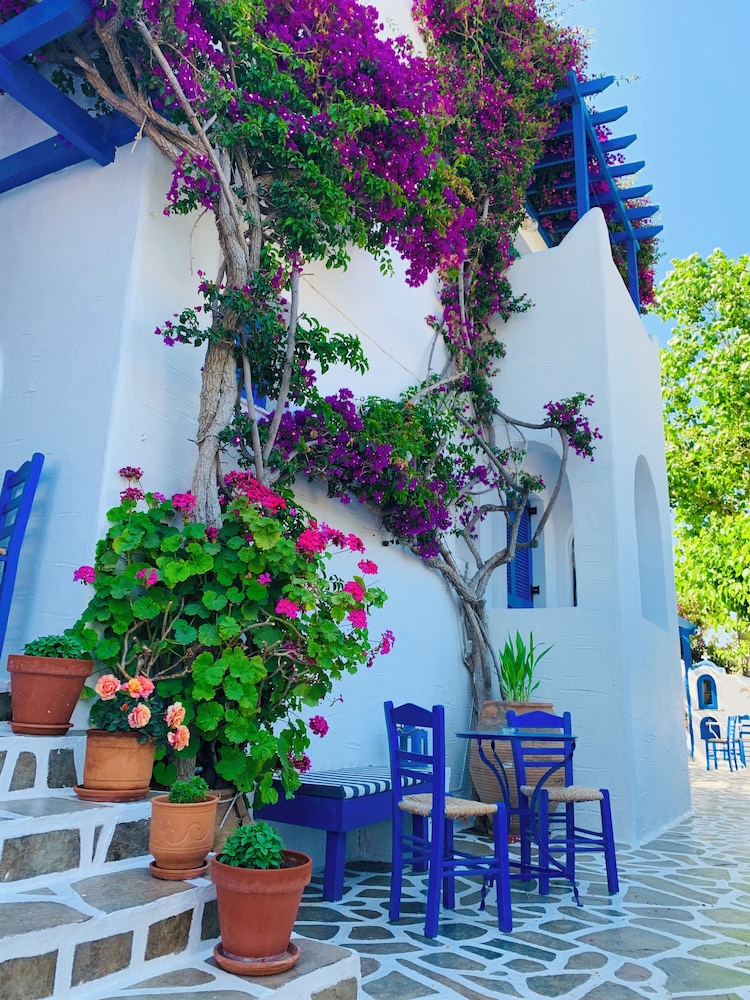 Pelagos Studios