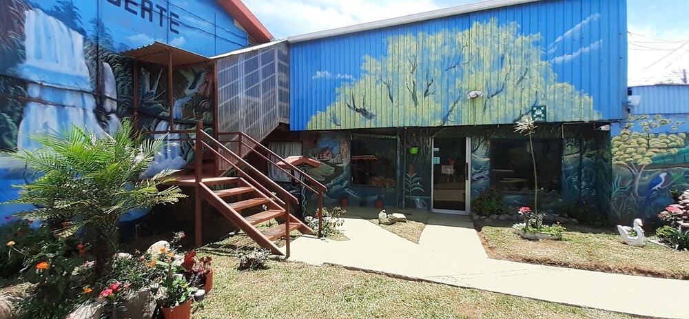 Hostel La Suerte