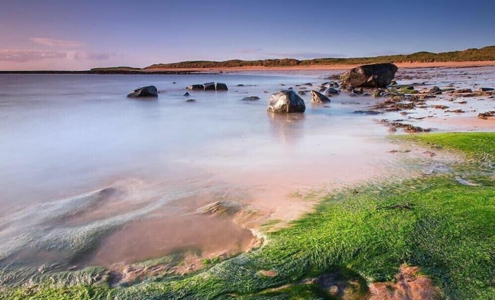 Sugar Sands