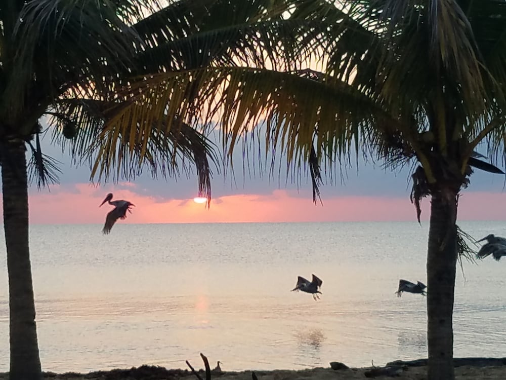 Belize Vacations - Pal's on the Beach - A Gold Standard Hotel - Property Image 55