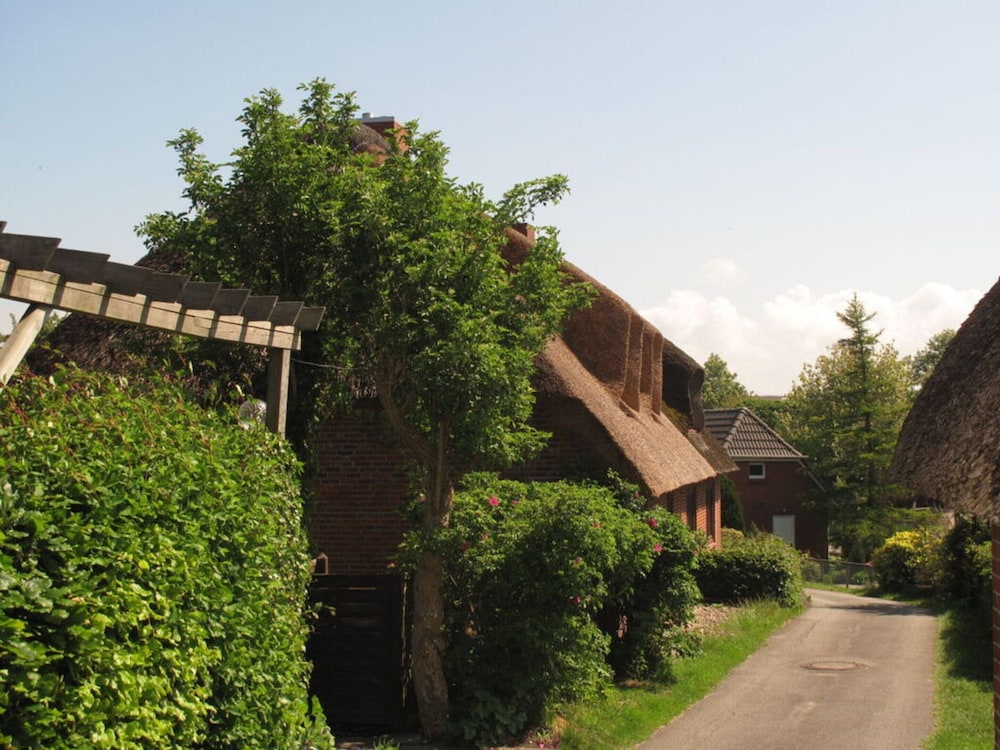 Frisian House by the sea