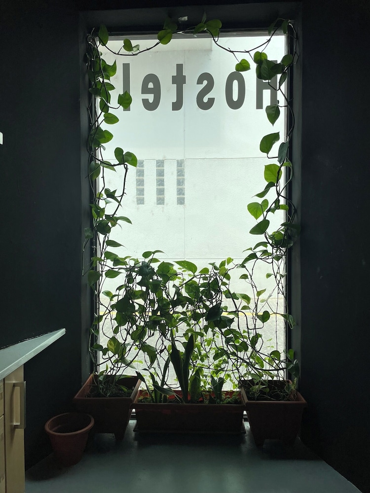SEVILLE YOUR WAY HOSTEL