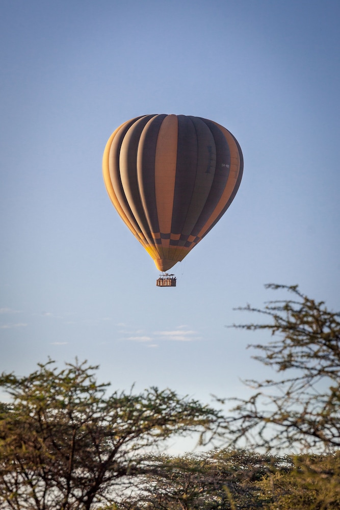 Gnu Ndutu Camp