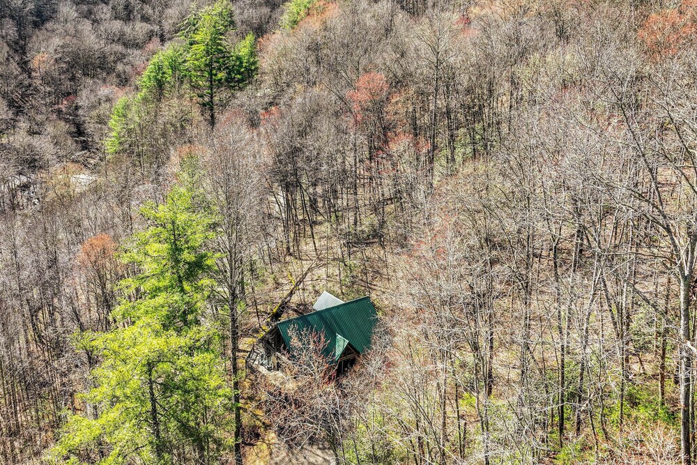Bryson City Cabin w/ Stunning Views & Hot Tub! view 2