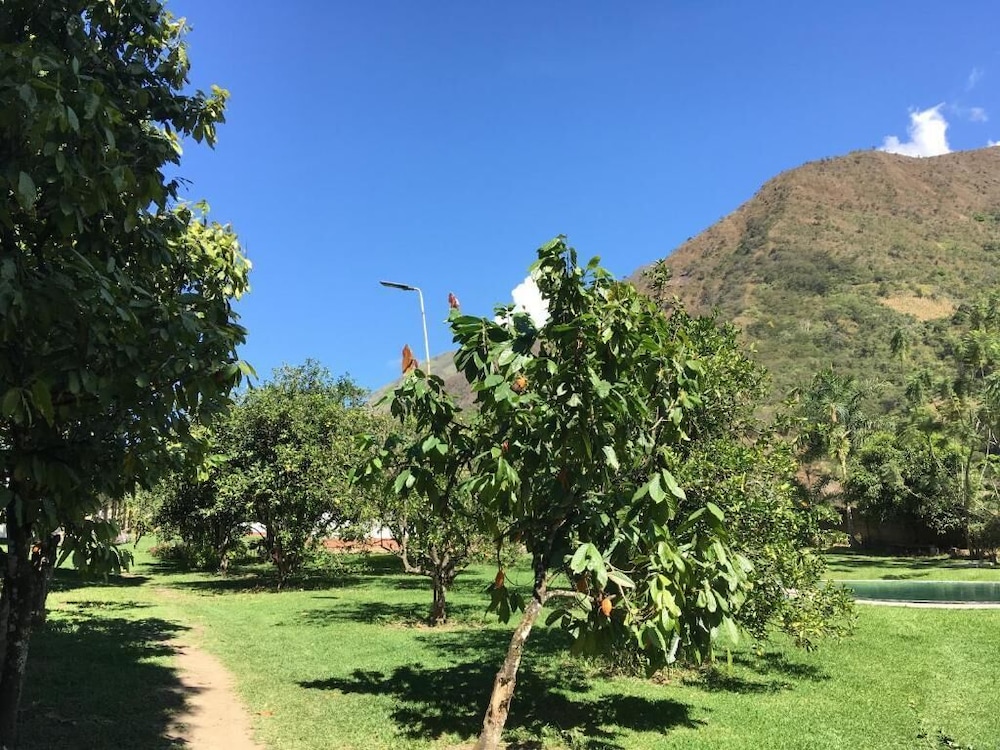 El Mangal