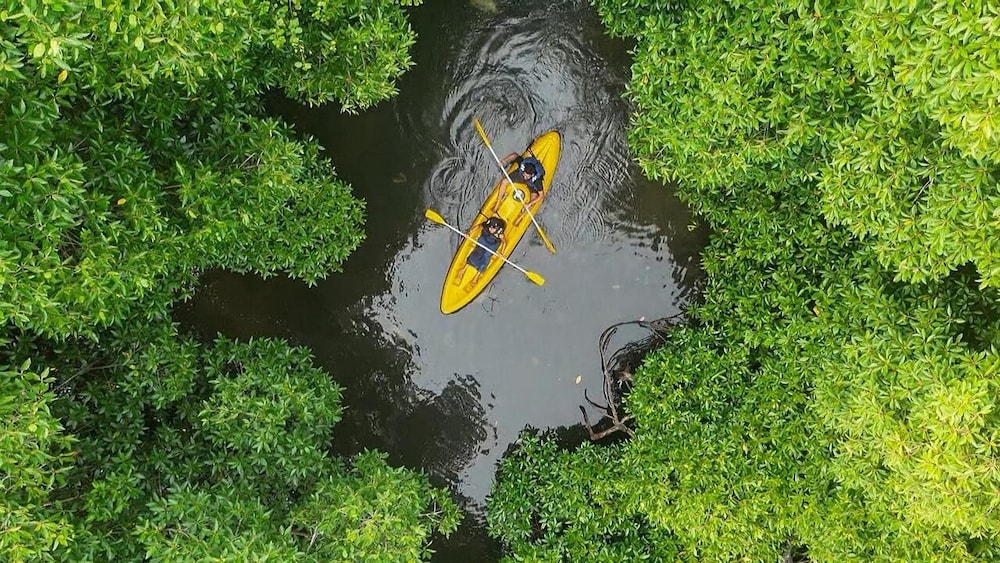 Crush River Villa Hikkaduwa