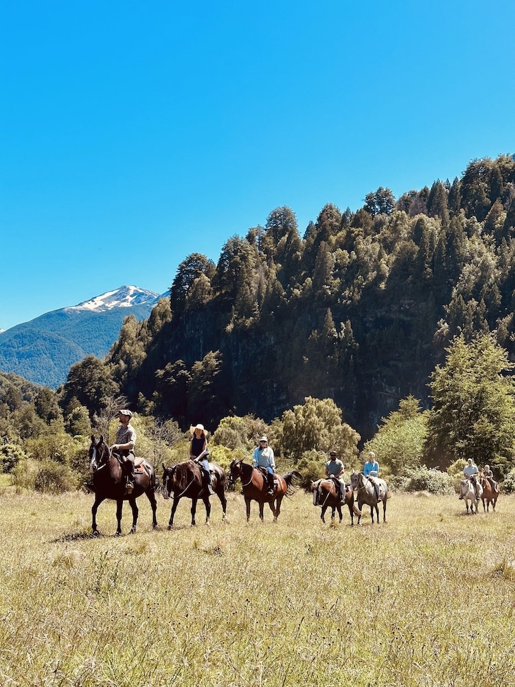 Rio Manso Camp - Glamping Bariloche