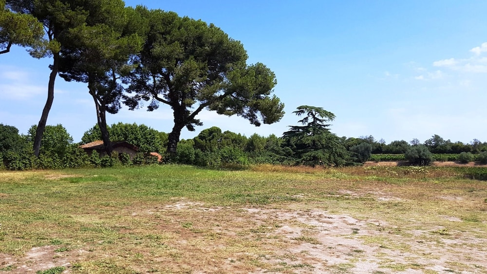 Chateau Saint Martin de Graves