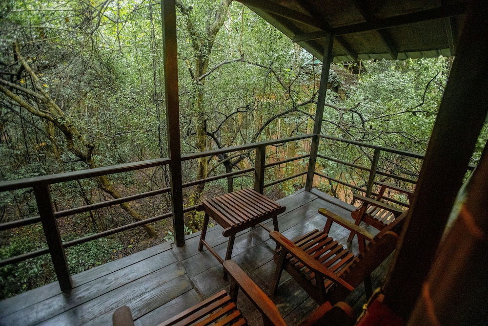 Inn On The Tree Eco Resort Sigiriya view 2