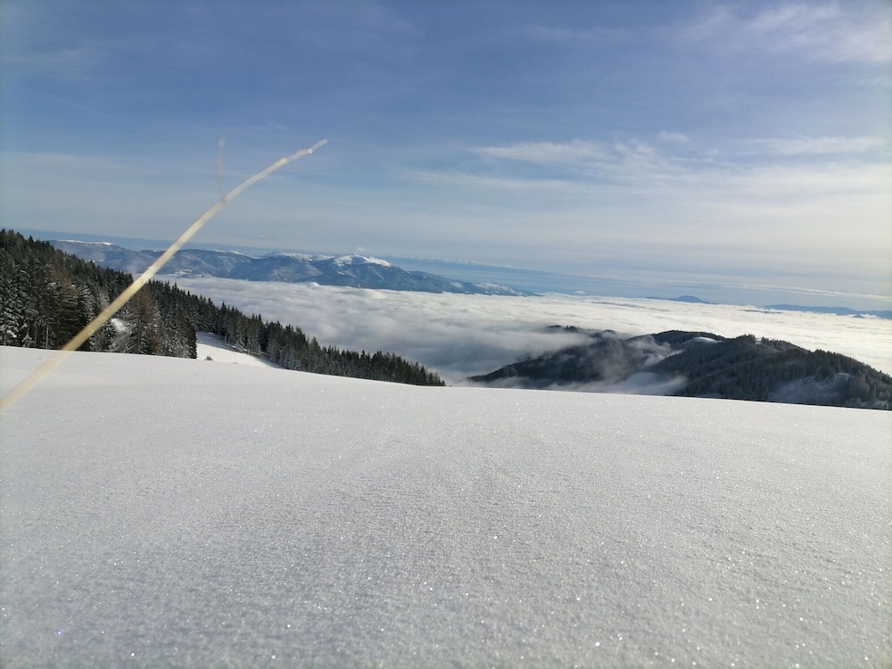 Alpine House in Prebl Near Klippitztorl Ski Area