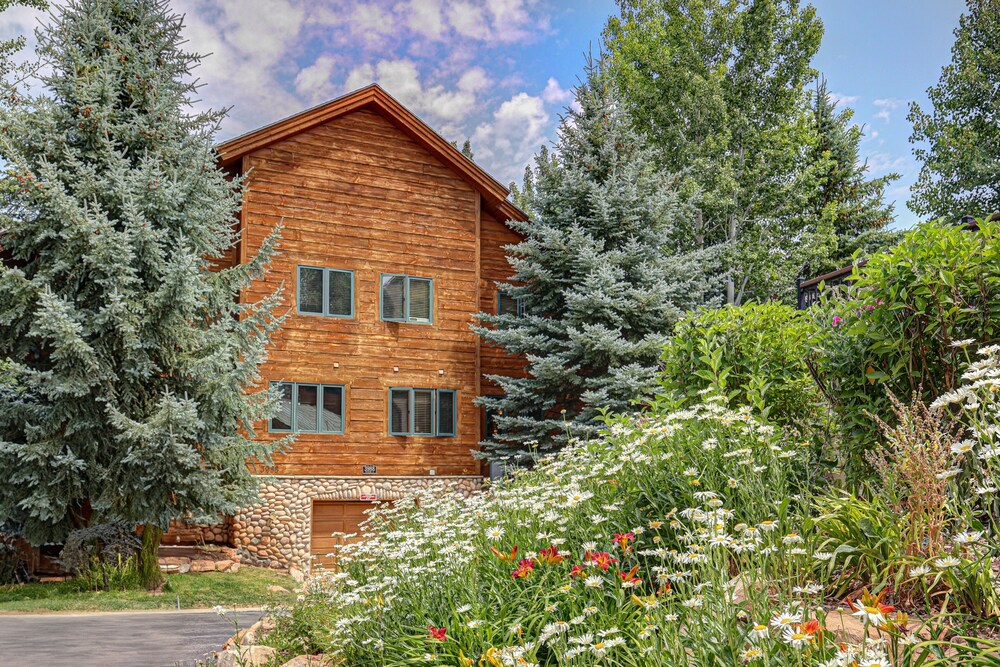 Timber Wolf Lodge 7c 3 Bedroom Condo