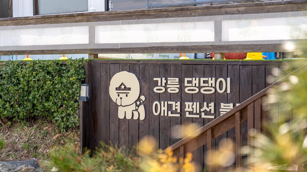 Gangneung Dangdangi Dog Pension Blue