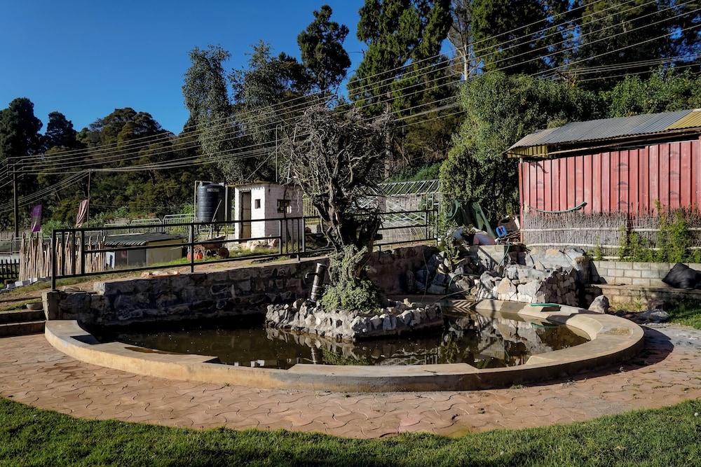Virgin Valley