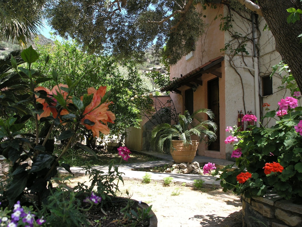 Photo 22