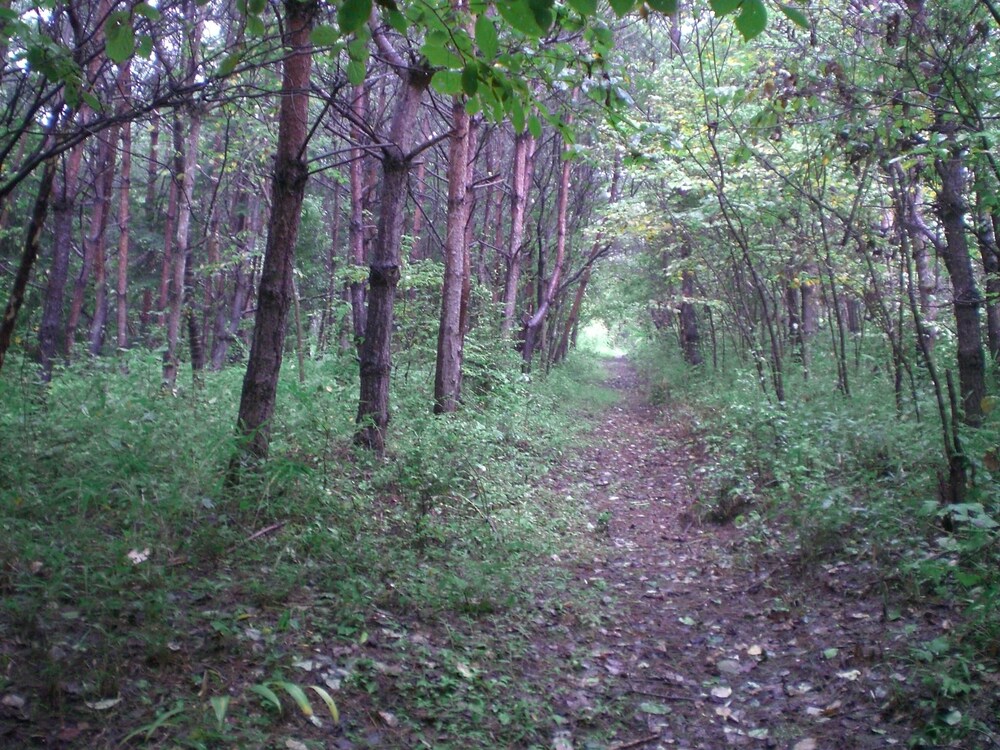 Kakinouen