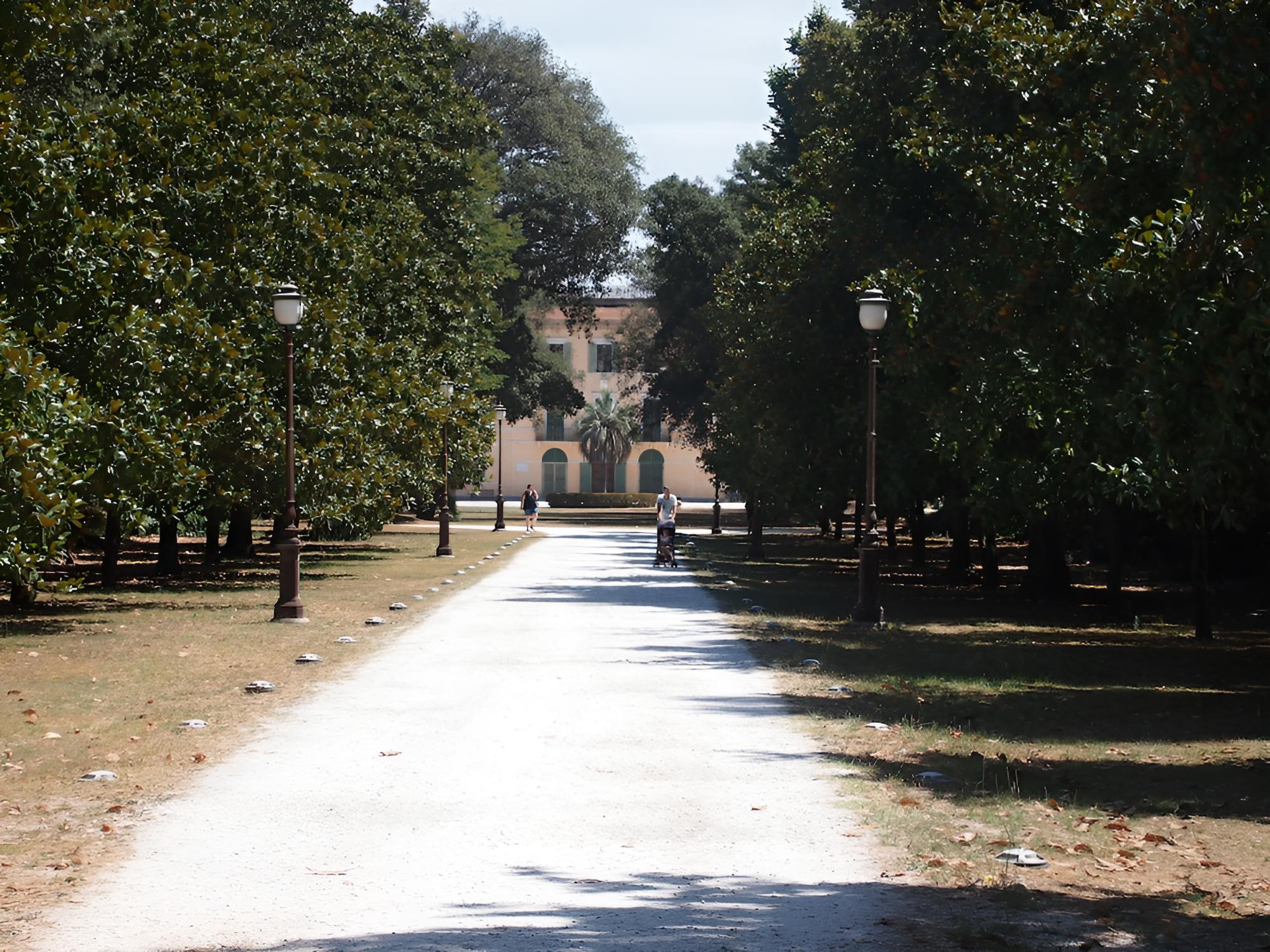 Photo 17