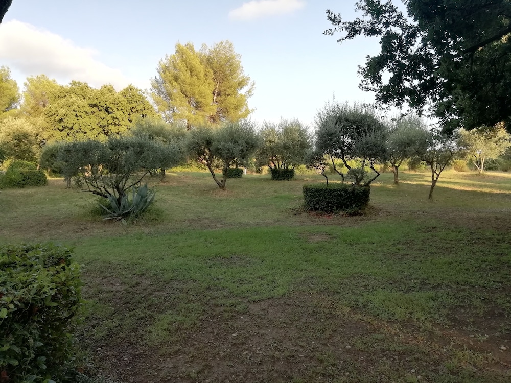 Photo 10