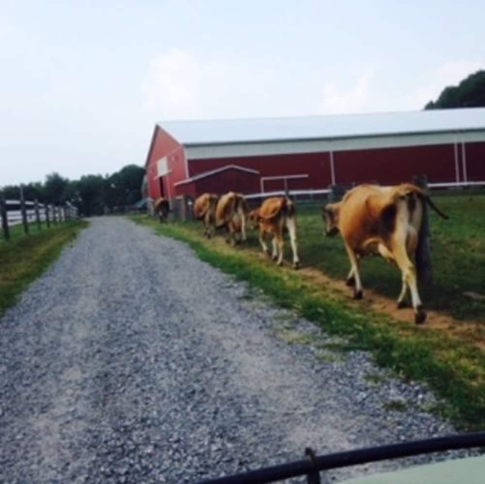 Flint Hill Farm AG