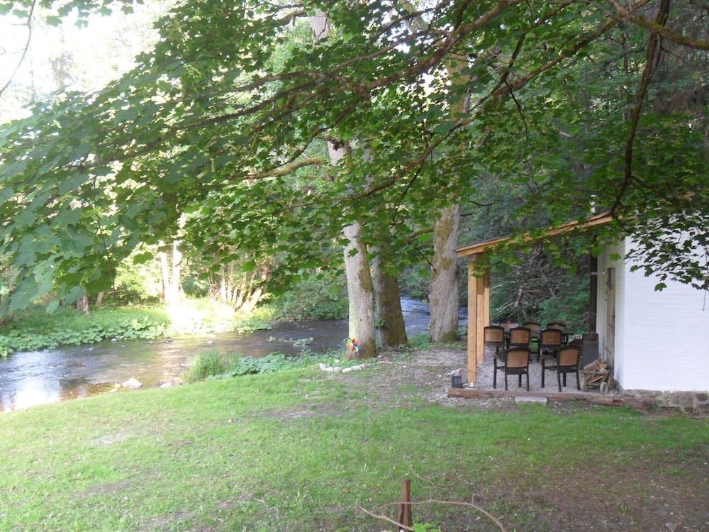 Photo 11
