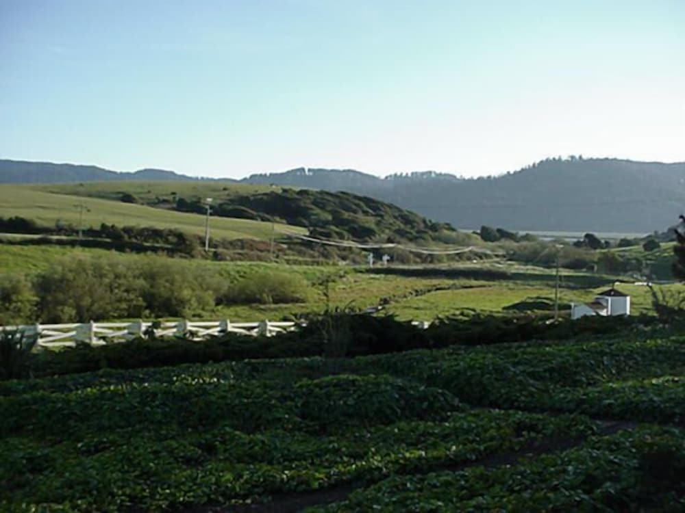 Point Reyes Vineyard Inn