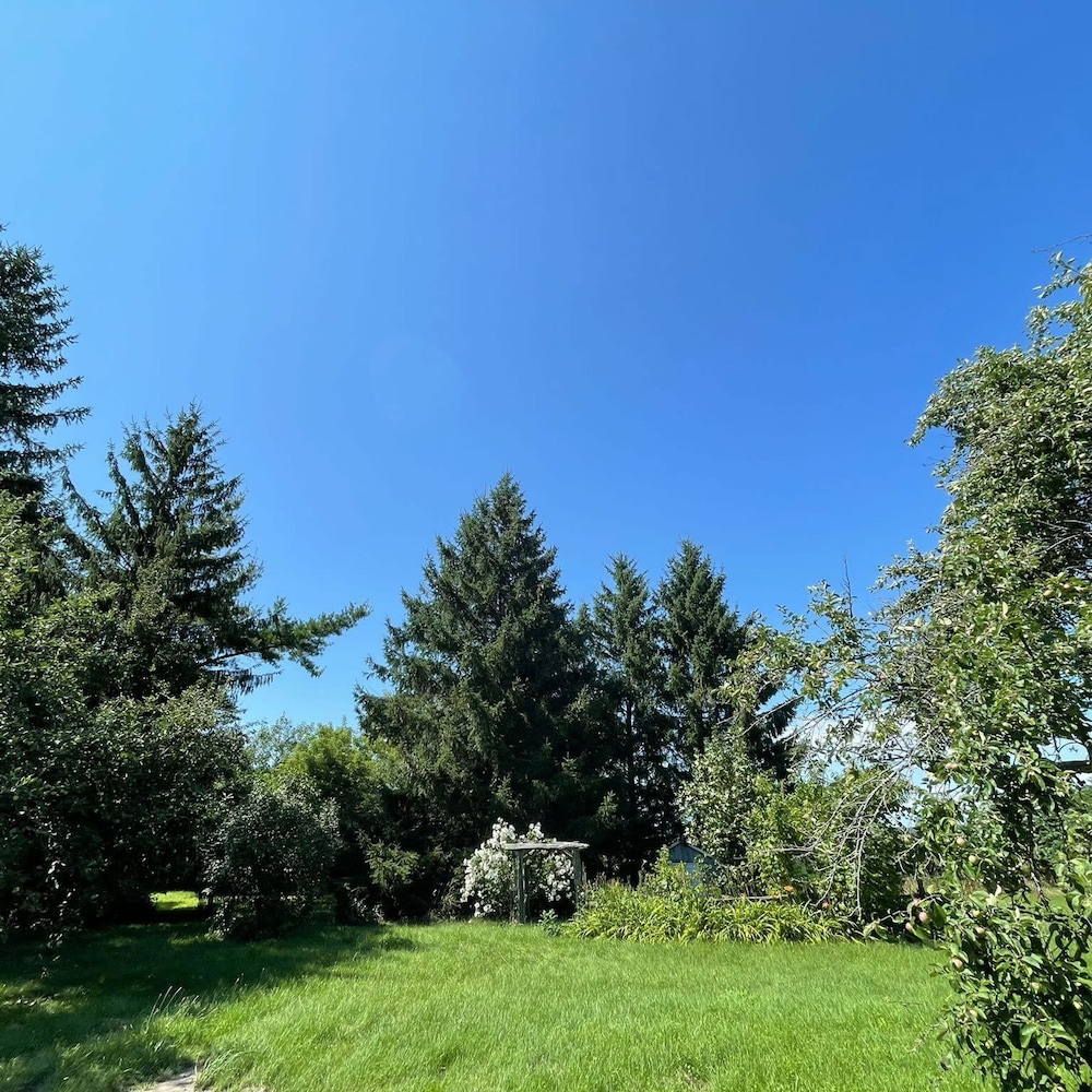 Welcome to Golden Field Farmhouse