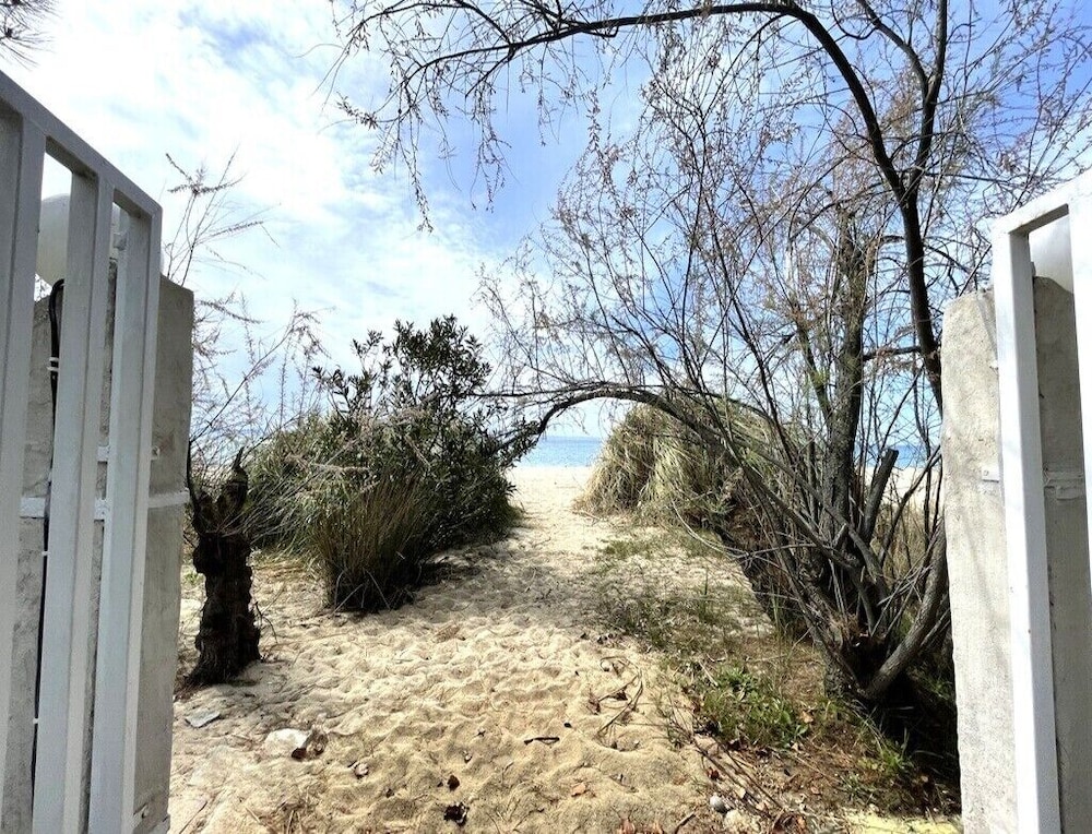Photo 25