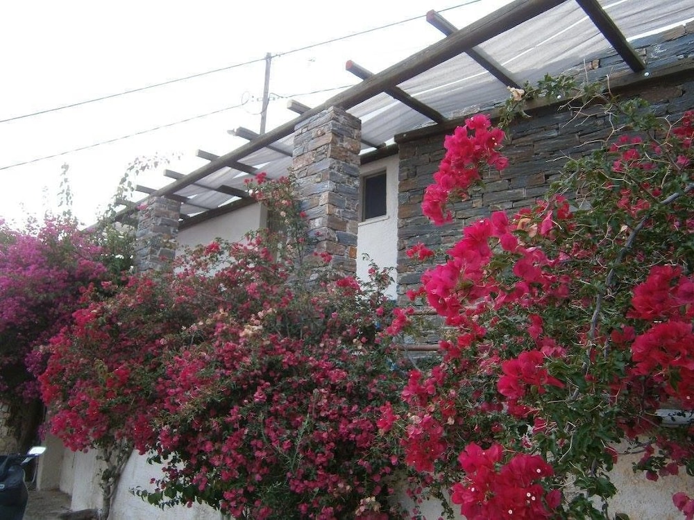 Elea Koundouros view 5