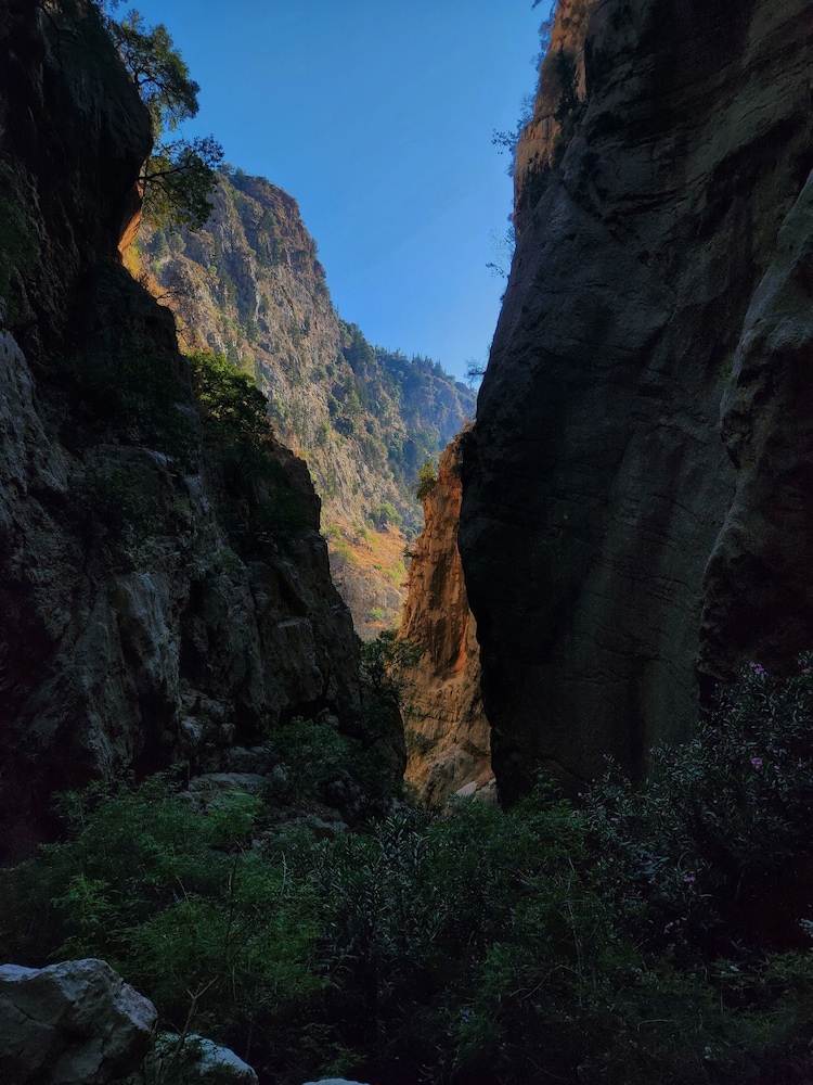 Butterfly Valley Beach Glamping Yiyecek A.Ş. - Image 5