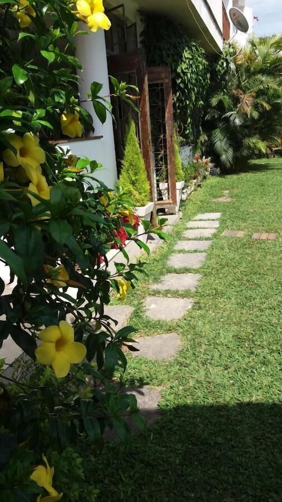 Photo 46