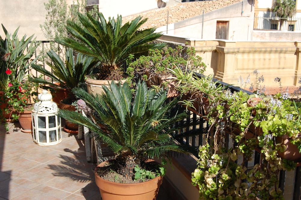 Photo 52