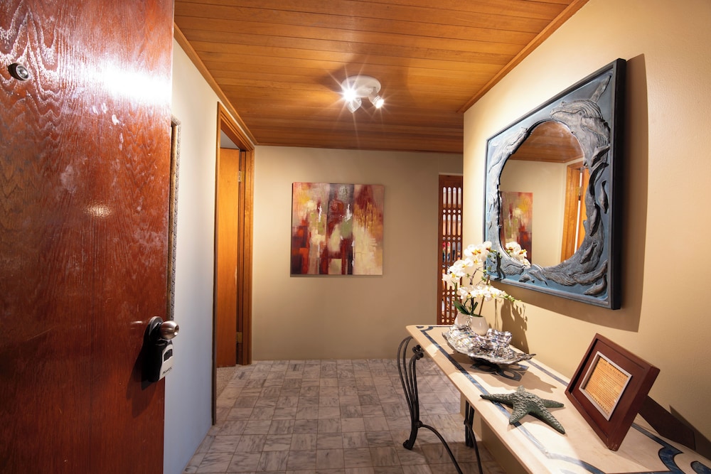 Polo Beach Club Vacation Rentals - APlus Resorts