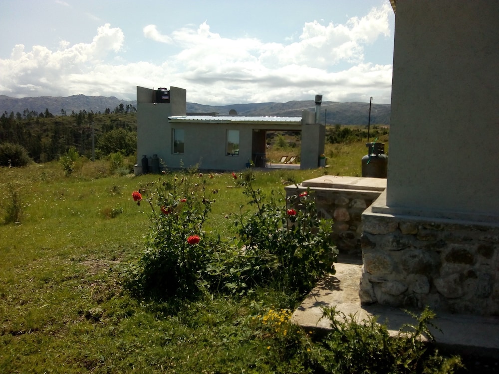 Bernalina