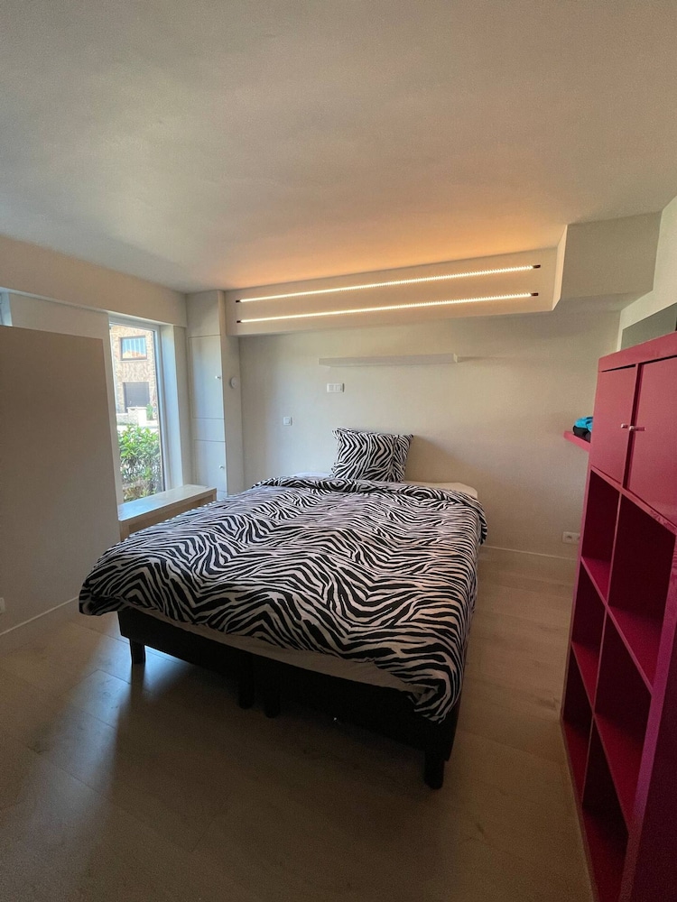 Modern Flat With Garden