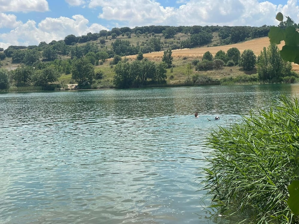 Glamping la bellota
