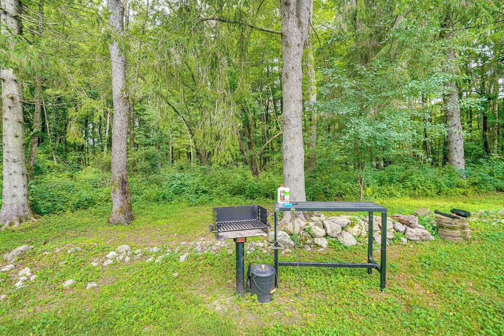 Games & Outdoor Entertainment: Upstate Family Home