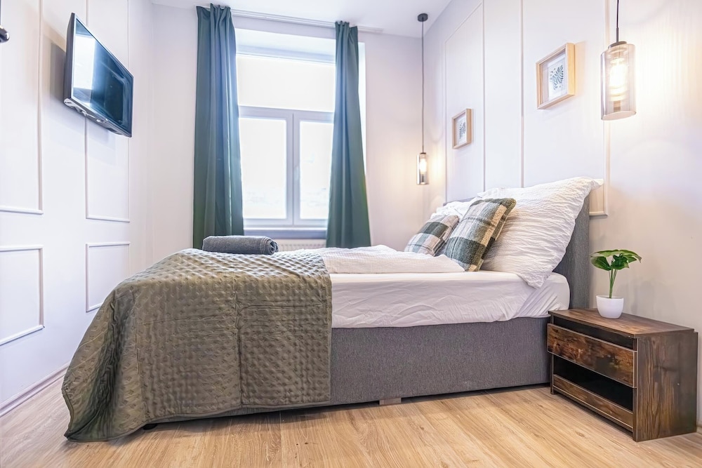 9BR Apts in the Heart of Vienna