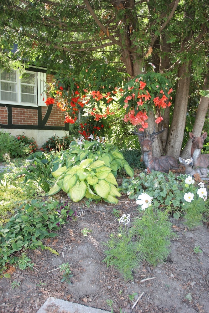 Peterborough Vacations - Burleys Gardens and Suite - Property Image 4