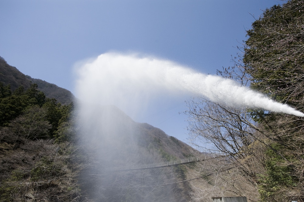 Nishiyama Onsen Keiunkan 9