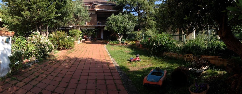 B&B Falcone