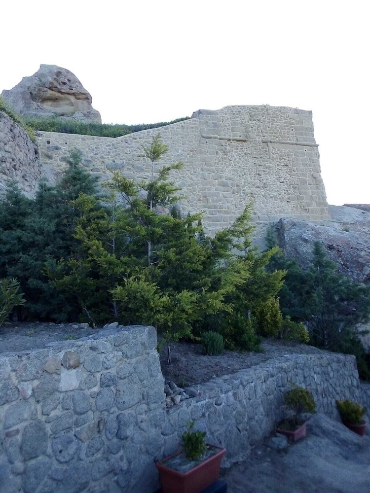 Photo 42