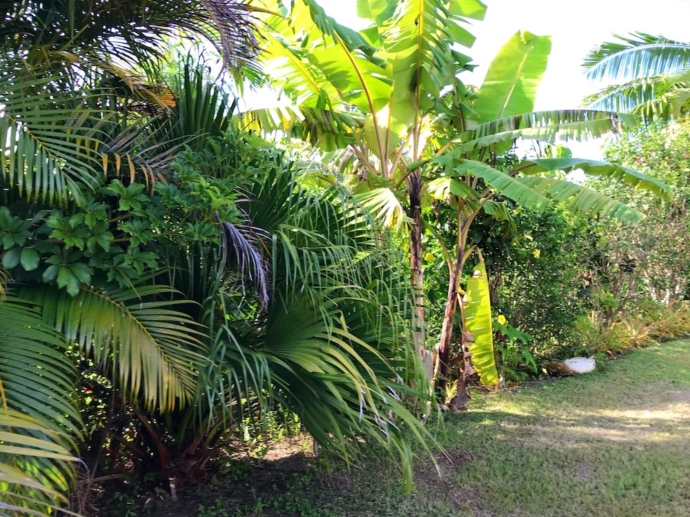 The Tropical Villa