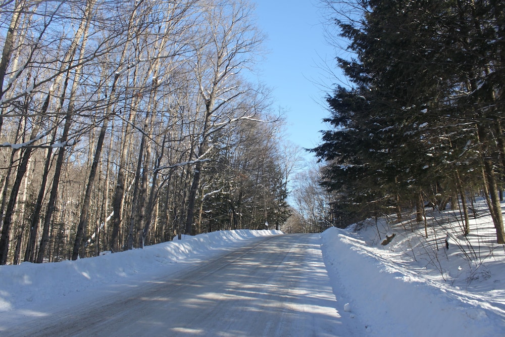 8 Acre Wood