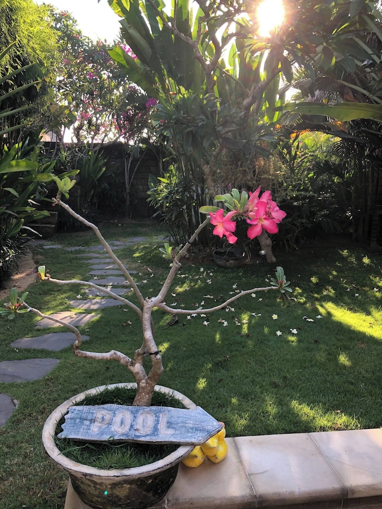 Lush 1 BR Private Pool Villa Inseminyak