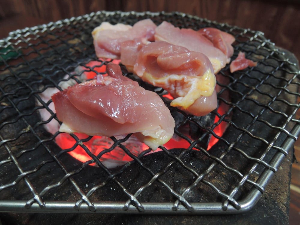 Mizuwake Minshuku Mura