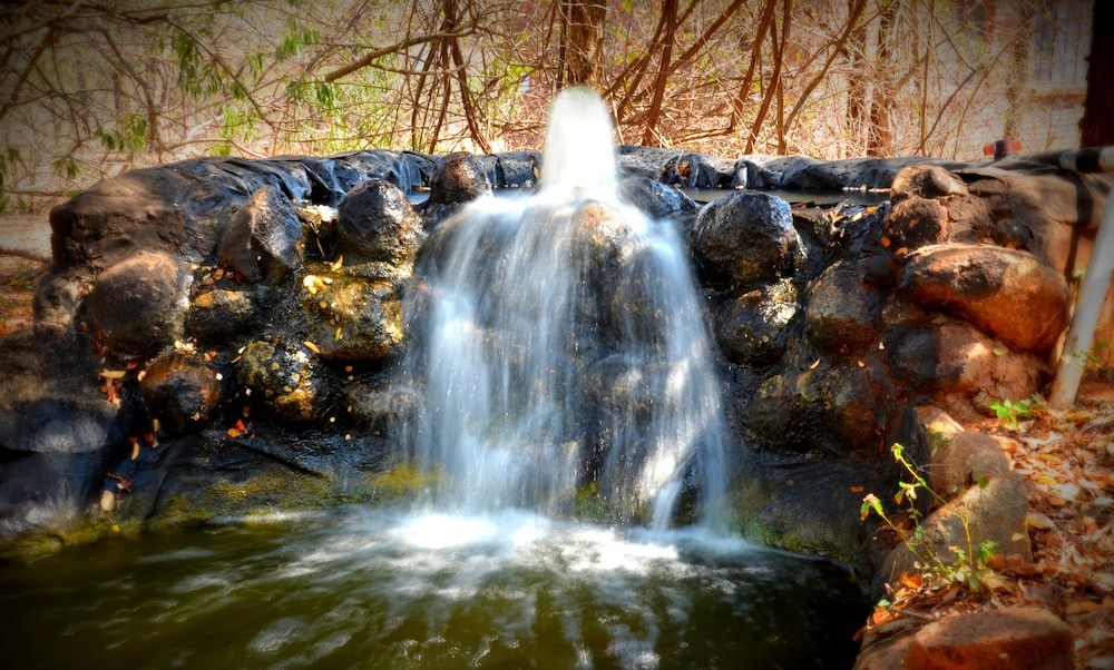 Photo 43