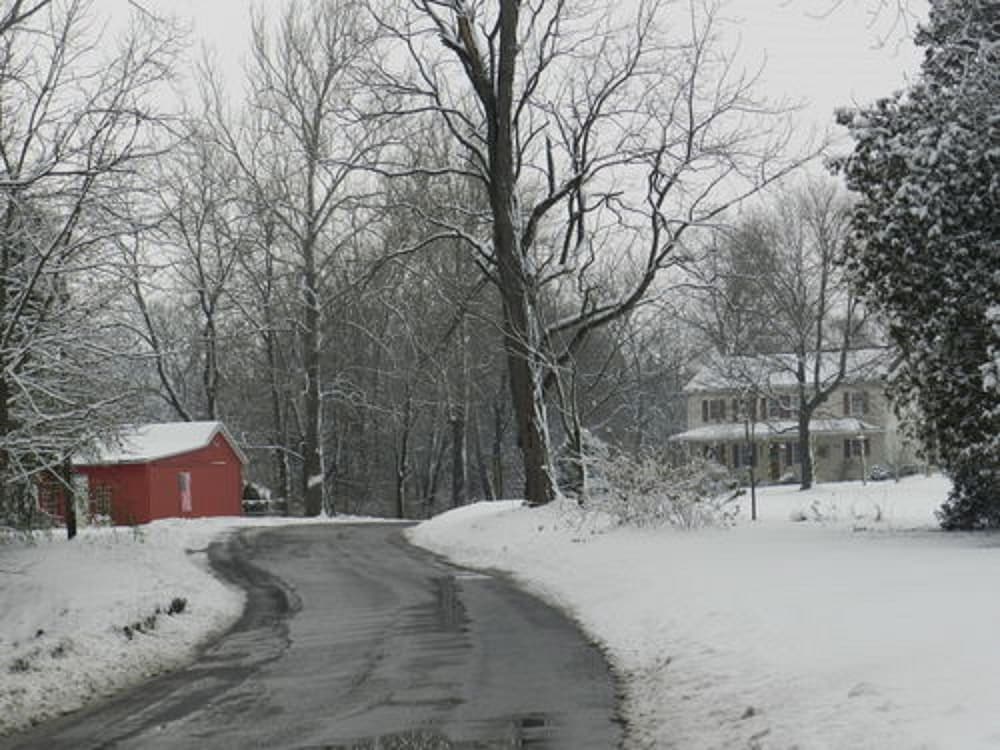 Red Cardinal Bed and Breakfast