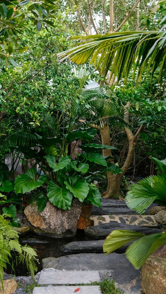 Lush Inn Phuket